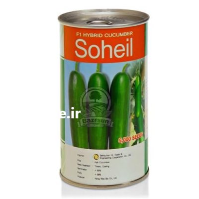 بذر خیار سهیل در گروه خرید و فروش بذر خیار در یکمیوه -عکس1