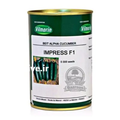 بذر خیار ایمپرس در گروه خرید و فروش بذر خیار در یکمیوه -عکس1