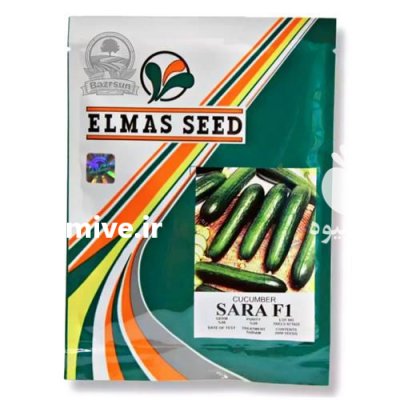 بذر خیار سارا در تهران در گروه خرید و فروش بذر خیار در یکمیوه -عکس1