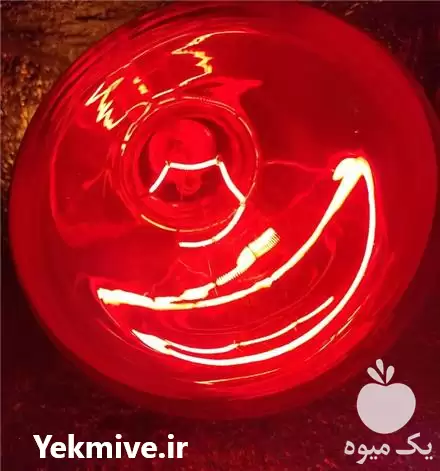 فروش لامپ حرارتی مستقیم در اصفهان در گروه خرید و فروش لامپ رشد در یکمیوه -عکس1