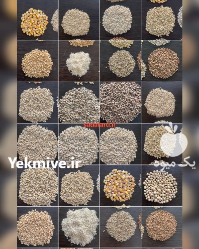 دانه چاودار در کرج در گروه خرید و فروش گندم و جو در یکمیوه -عکس1