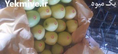 سیب درختی در گروه خرید و فروش سیب در یکمیوه -عکس1