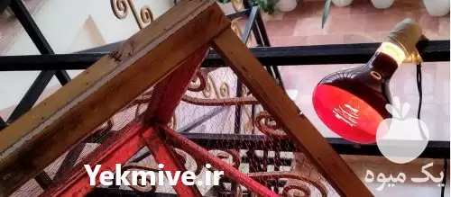 قیمت خرید لامپ حرارتی مستقیم در اصفهان در گروه خرید و فروش لامپ رشد در یکمیوه -عکس1