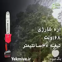 قیمت خرید اره زنجیری شارژی 30 سانت 168 و لت در تهران در گروه خرید و فروش اره برقی در یکمیوه