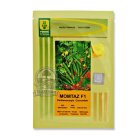 بذر خیار ممتاز در تهران در گروه خرید و فروش بذر خیار در یکمیوه