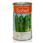 بذر خیار سهیل در گروه خرید و فروش بذر خیار در یکمیوه