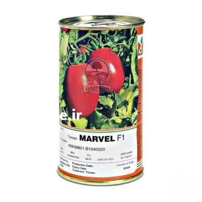 بذر گوجه فرنگی مارول در تهران در گروه خرید و فروش بذر گوجه در یکمیوه -عکس1