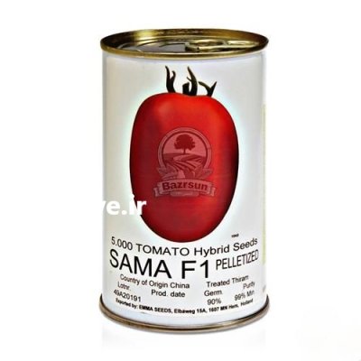 بذر گوجه فرنگی سما در گروه خرید و فروش بذر گوجه در یکمیوه -عکس1