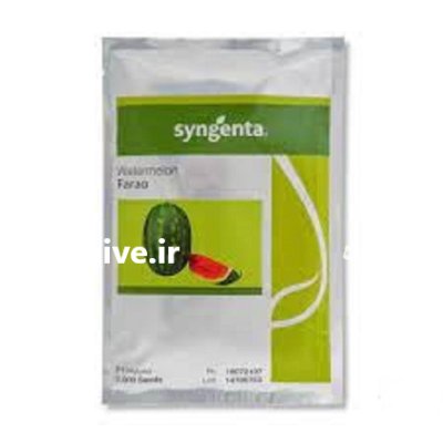 بذر هندوانه فارائو در گروه خرید و فروش بذر هندوانه در یکمیوه -عکس1