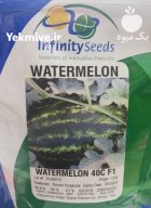 بذر هندوانه 40 سی 40 C در آبادان در گروه خرید و فروش بذر هندوانه در یکمیوه