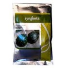 بذر هندوانه تاپگان در گروه خرید و فروش بذر هندوانه در یکمیوه