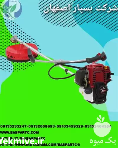 قیمت خرید علف زن حاشیه زن در زاهدان در گروه علف تراش و علف زن در یکمیوه -عکس1