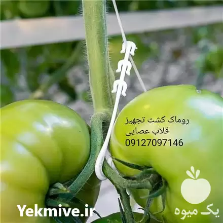 فروش قلاب عصایی گلخانه در تهران در گروه خرید و فروش تجهیزات گلخانه در یکمیوه -عکس1