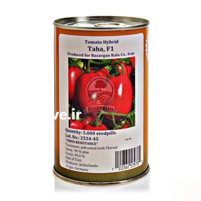 بذر گوجه فرنگی طاها در گروه خرید و فروش گوجه فرنگی در یکمیوه -عکس1