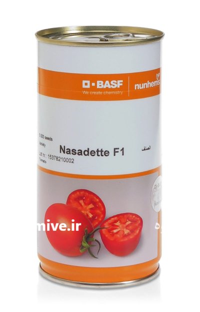 بذر گوجه فرنگی ناسادت در تهران در گروه خرید و فروش بذر گوجه در یکمیوه -عکس1