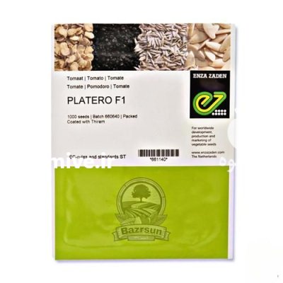 بذر گوجه فرنگی هیبرید پلاترو در گروه خرید و فروش بذر گوجه در یکمیوه -عکس1