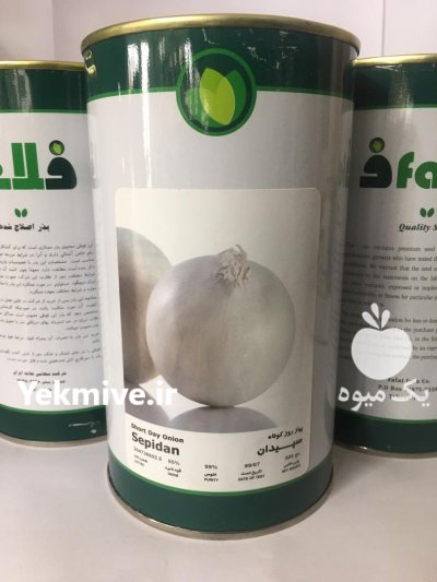 فروش بذر پیاز سفید سپیدان فلات در اهواز در گروه خرید و فروش بذر پیاز در یکمیوه -عکس1