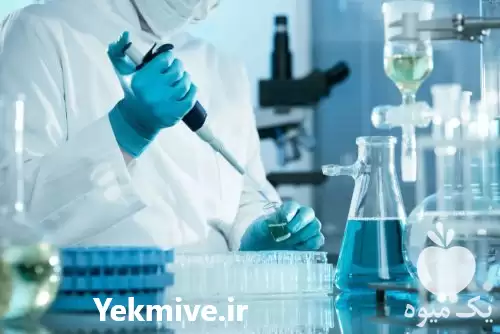 شرکت پارس محیط آزما در تهران در گروه آزمایش خاک در یکمیوه -عکس1