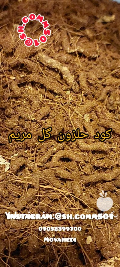 برای اولین بار در دنیا فروش کود حلزون در گروه خرید و فروش کود حیوانی در یکمیوه -عکس1