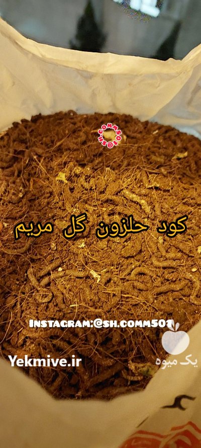برای اولین بار در دنیا فروش کود حلزون در گروه خرید و فروش کود حیوانی در یکمیوه -عکس2