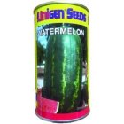 فروش بذر هندوانه سامانتا پرفروش اصل در اهواز در گروه خرید و فروش بذر هندوانه در یکمیوه