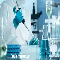 شرکت پارس محیط آزما در تهران در گروه آزمایش خاک در یکمیوه