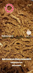 برای اولین بار در دنیا فروش کود حلزون در گروه خرید و فروش کود حیوانی در یکمیوه