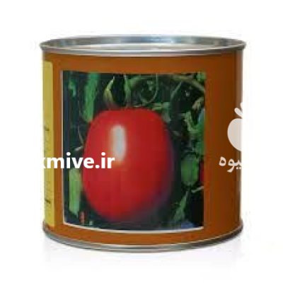 بذر گوجه مالکوم در آبادان در گروه خرید و فروش بذر گوجه در یکمیوه -عکس1