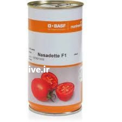 بذر گوجه ناسادت در مشهد در گروه خرید و فروش بذر گوجه در یکمیوه -عکس1