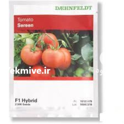 بذر گوجه فرنگی سرین در بندرعباس در گروه خرید و فروش بذر گوجه در یکمیوه -عکس1