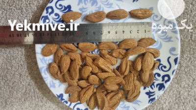 مغز بادام مامایی و سنگی در تهران در گروه خرید و فروش بادام در یکمیوه -عکس3