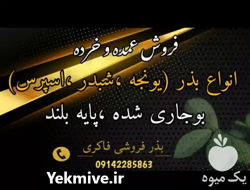 فروش انواع بذر یونجه در کرمانشاه در گروه خرید و فروش بذر یونجه در یکمیوه -عکس1