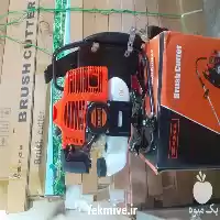 علف زن دوشی علف زن در تهران در گروه علف تراش و علف زن در یکمیوه