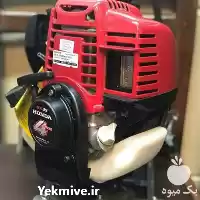 قیمت خرید علف زن در تهران در گروه علف تراش و علف زن در یکمیوه