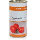 بذر گوجه ناسادت در مشهد در گروه خرید و فروش بذر گوجه در یکمیوه