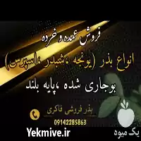 فروش انواع بذر یونجه در کرمانشاه در گروه خرید و فروش بذر یونجه در یکمیوه