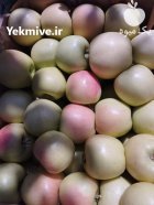 سیب درختی زرد و قرمز در شیراز در گروه خرید و فروش سیب در یکمیوه