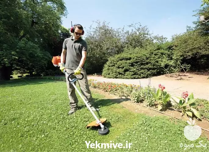 فروش علف تراش و داس در ساری در گروه علف تراش و علف زن در یکمیوه -عکس1
