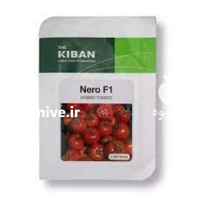 بذر گوجه فرنگی نرو در آبادان در گروه خرید و فروش گوجه فرنگی در یکمیوه -عکس1