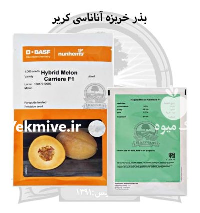 بذر خربزه آناناسی کریر نانهمز در ارومیه در گروه خرید و فروش بذر خربزه در یکمیوه -عکس1