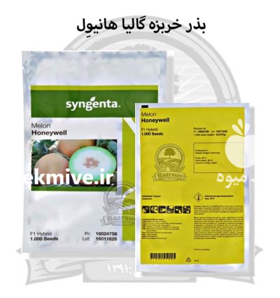 بذر خربزه گالیا هانیو ل سینجنتا در ارومیه در گروه خرید و فروش بذر خربزه در یکمیوه -عکس1