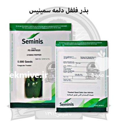 بذر فلفل دلمه 9325 سمینیس در ارومیه در گروه خرید و فروش بذر فلفل در یکمیوه -عکس1