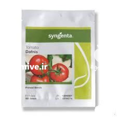 بذر گوجه فرنگی گلخانه ای دافنیس در اهواز در گروه خرید و فروش بذر گوجه در یکمیوه -عکس1