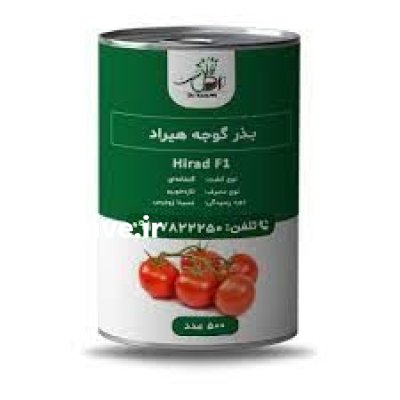 بذر گوجه گلخانه ای هیراد در زابل  در گروه خرید و فروش بذر گوجه در یکمیوه -عکس1