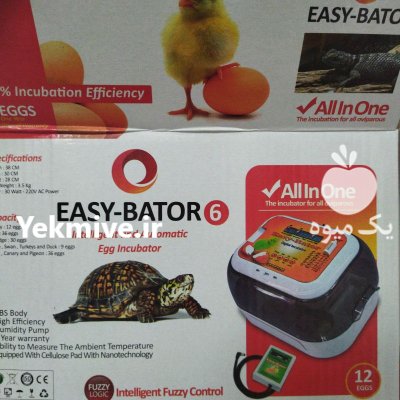 هچ دستگاه جوجه کشی برای طوطیسانان در مشهد در گروه تجهیزات مرغداری در یکمیوه -عکس2