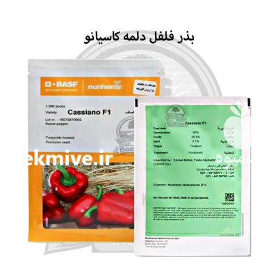 بذر فلفل دلمه قرمز کاسیانو نانهمز در ارومیه در گروه خرید و فروش بذر فلفل در یکمیوه -عکس1