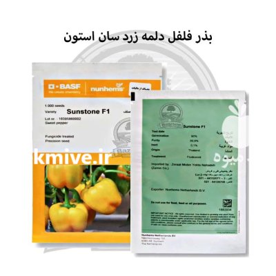 بذر فلفل دلمه زرد سان استون در گروه خرید و فروش بذر فلفل در یکمیوه -عکس1