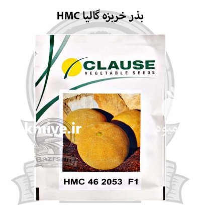 بذر خربزه گالیا HMC 462053 در ارومیه در گروه خرید و فروش بذر خربزه در یکمیوه -عکس1