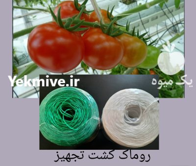نخ بوته در تهران در گروه خرید و فروش تجهیزات گلخانه در یکمیوه -عکس1