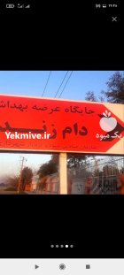 گوسفند زنده ارسال به درب منزل در گروه گاو و گوسفند و میش و بز کهره گوساله در یکمیوه